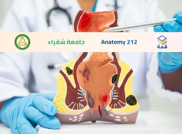 📘 Anatomy 212