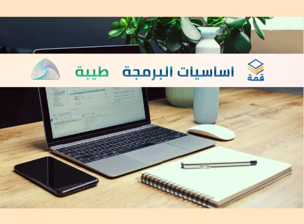 أساسيات البرمجة